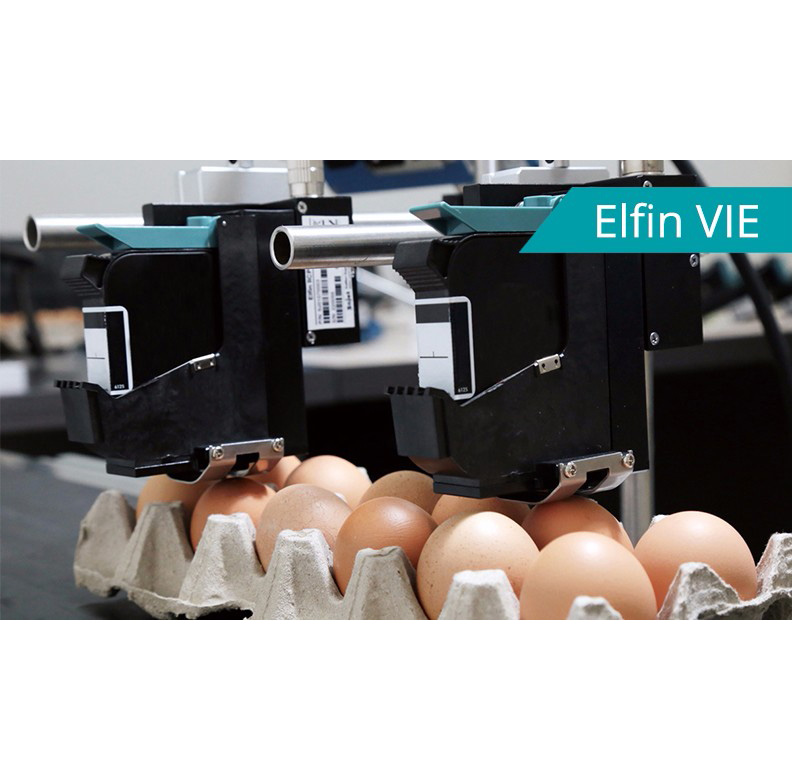 E6E ���(l��i)�߽������a�C(j��)